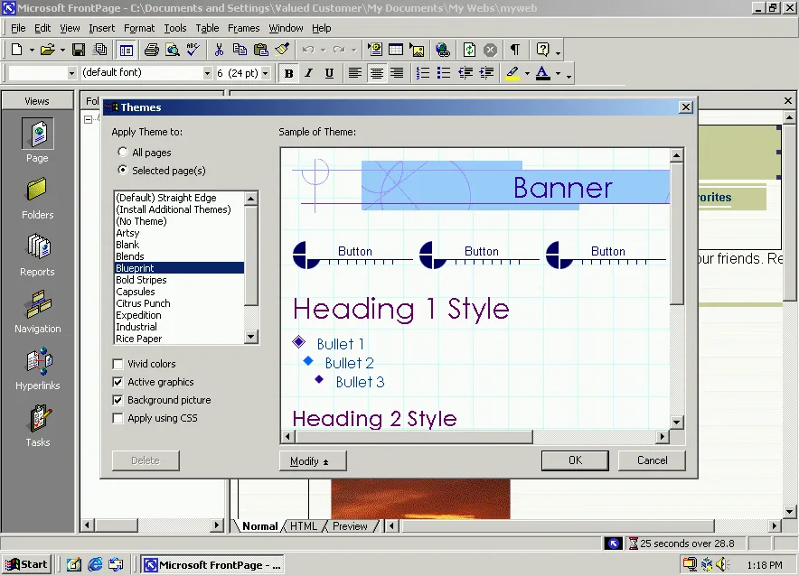 Which theme are you picking for your website? (FrontPage 2000)