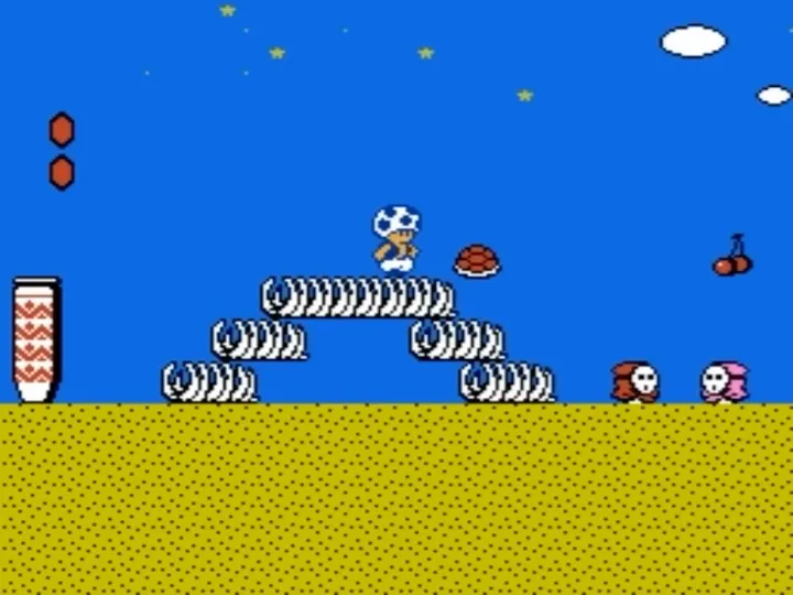 Super Mario Bros 2 for NES